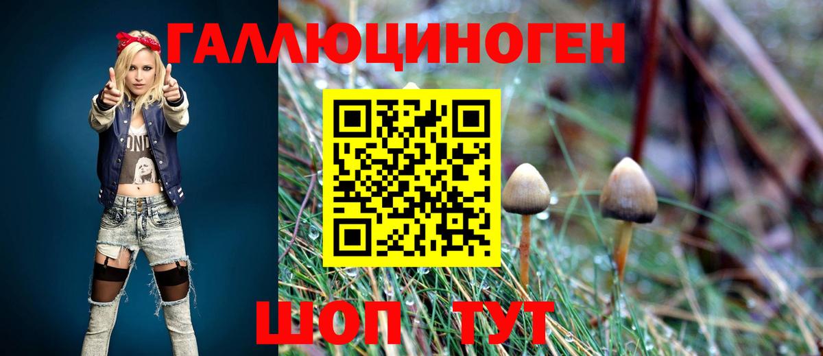 Галлюциногенные грибы MAGIC MUSHROOMS  Вход с VPN  Псилоцибиновые грибы прущие грибы  Сертолово 